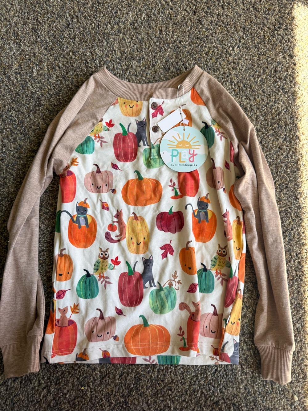 NWT Little Sleepies Long Sleeve Pumpkin & Fall Animals Top - Beige & Cream